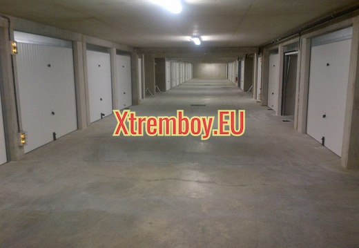 Maître lascar baise larbins dans mon garage