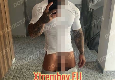 Domi rebeu expérimenté pour dressage soft à hard