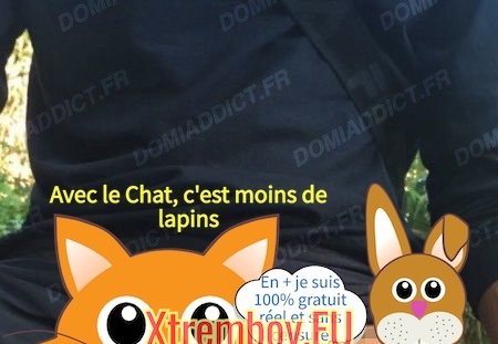 Attends-moi à 4 pattes