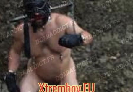 dog en devenir cherche maitre chien