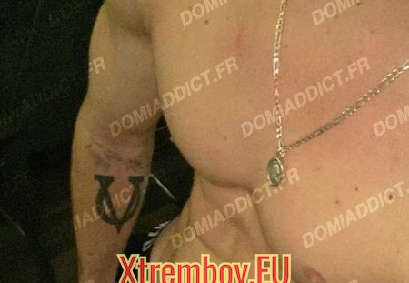 Pour chien à 4 pattes