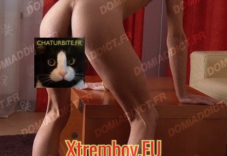 A louer soumis pour SM soft pour parfaire sa formation...