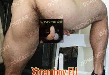 Soumis débutant cherche autre soumis