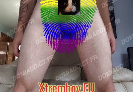 Maître cherche chienne vide couille