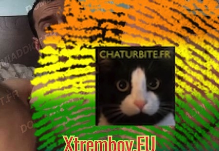 Je recherche un bear soumis