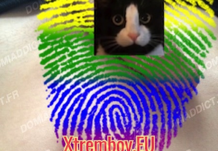 Viens pomper ma bite de rebeu si t’aimes ça