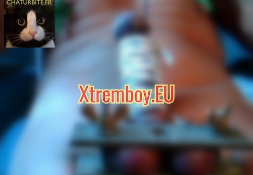 Toulouse : initiation au shibari