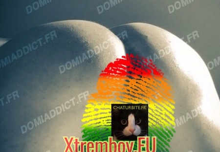 Plan fist ou plan débridé à Poissy