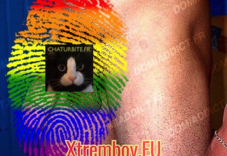 Rebeu de Marseille fan punching