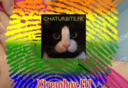 Soumis rech Mâle supérieur de Dijon à vénérer