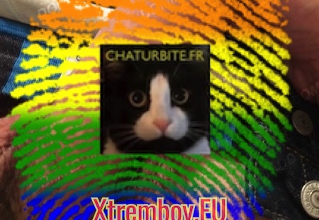 Honfleur - Slave à dresser