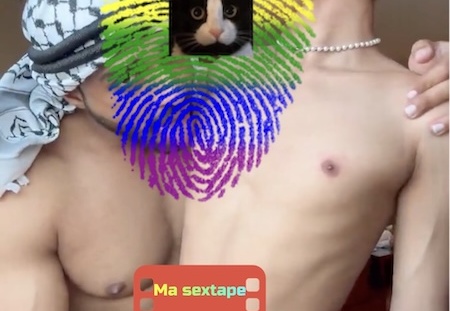 Harem de minets à dispo