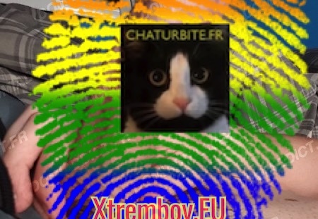 Nice - Top chaser hairy well hung dominant (162 visits) Big dick, sensitive nipples, turn on by chubby bottom with big fat ass hairless a must. Mec brun act... Nice - Top chaser hairy well hung dominant