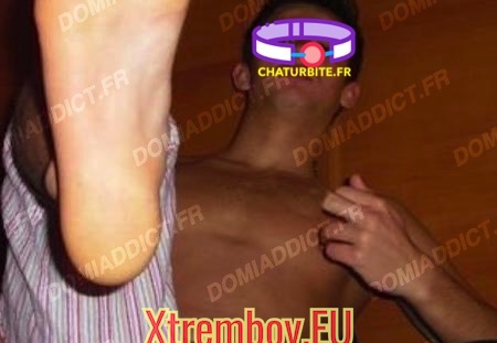 Clermont-Ferrand - Ptit clebs bon lécheur de panards