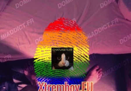 Vieux vicieux orléanais