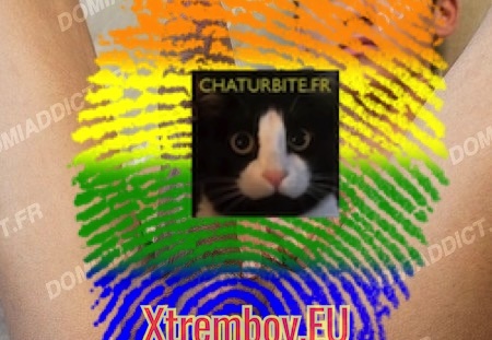 Venez vous amuser sur ma roue de charrue adaptée pour des jeux SM