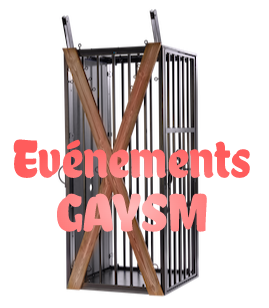 Evénements GAYSM